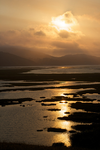 Tomales Bay