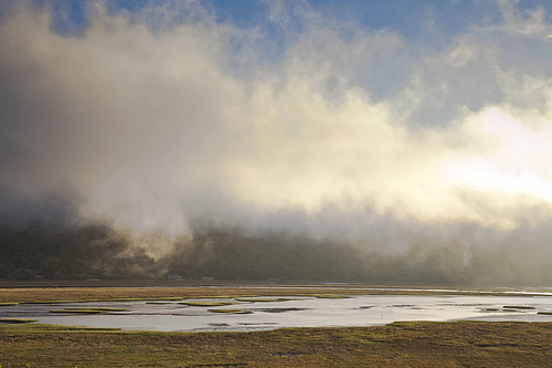 Tomales Bay #1